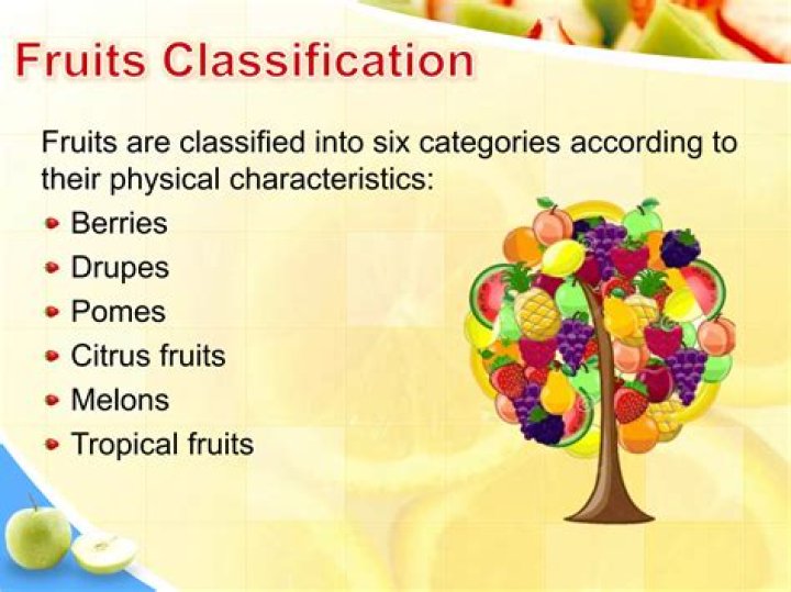 How fruits are classified?