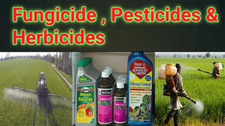 How is milk used as a fungicide?