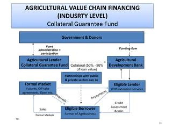 How loan guarantees work?