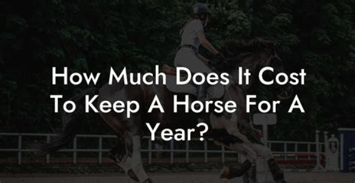How much does it cost to have a horse for a year?