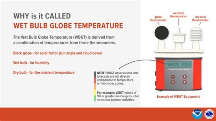 How to check wet bulb temperature?