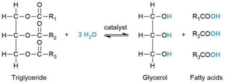 How to hydrolyzing cellulose?