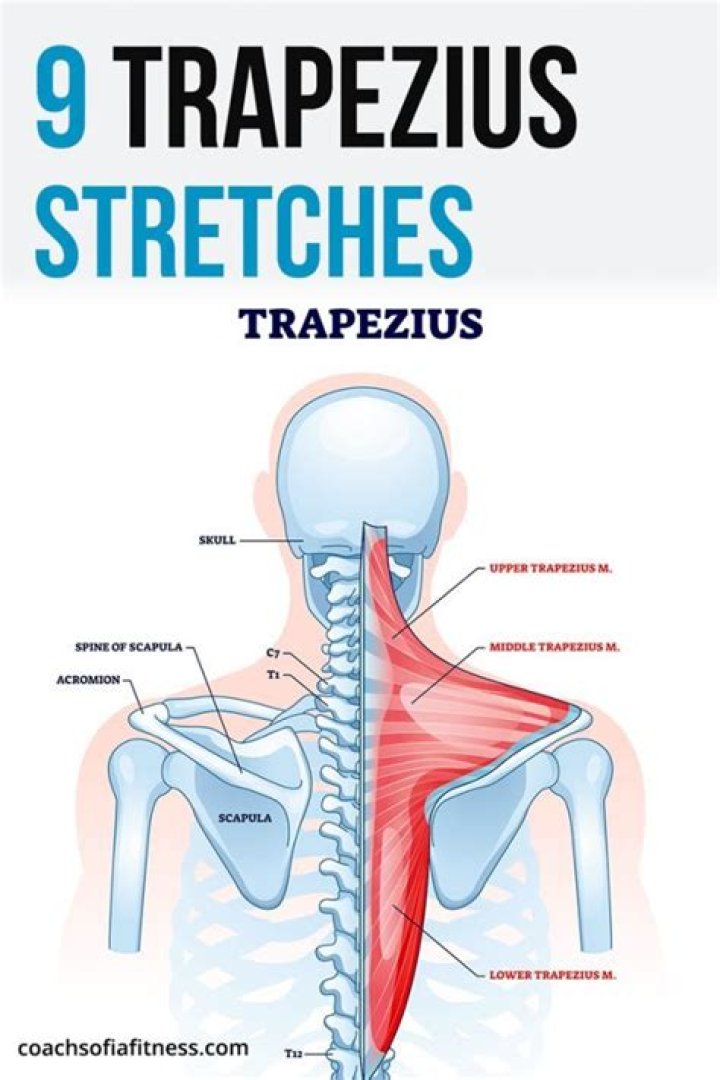 How to treat trapezius myalgia?
