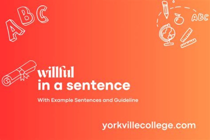 How to use willful in a sentence?