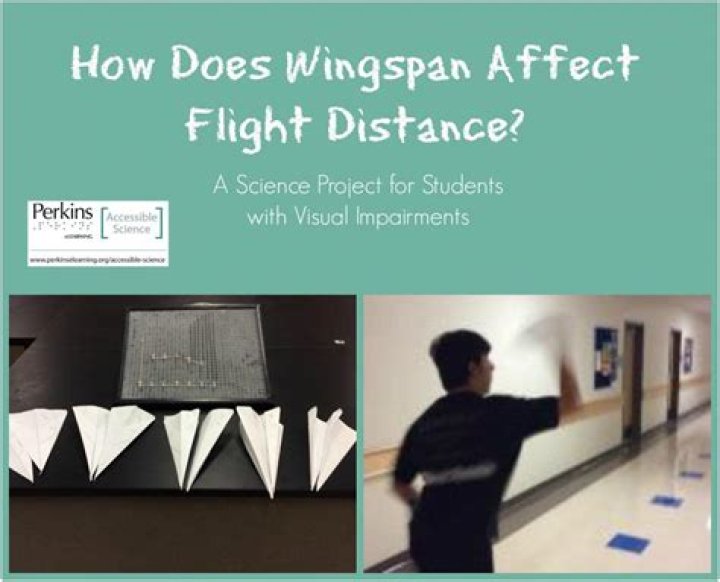 How wingspan affect flight?