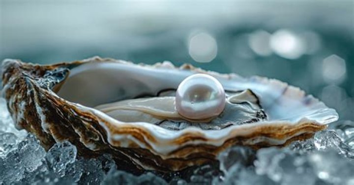 In a pearl oyster the edge of mantle secretes?
