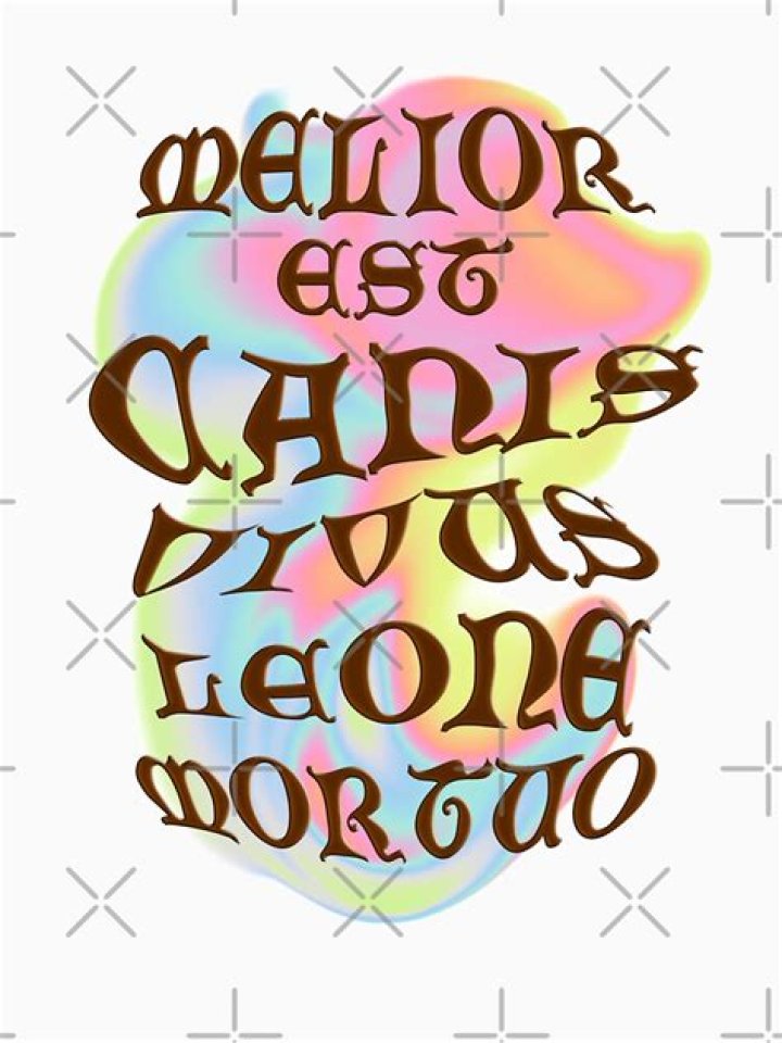 In dubio melior est conditio possidentis?