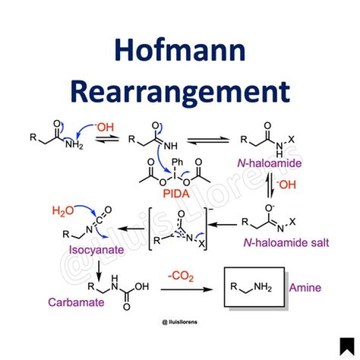 In hoffmann bromamide rearrangement intermediate species is?