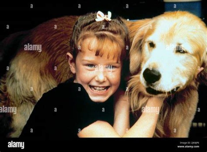 In homeward bound does sassy die?