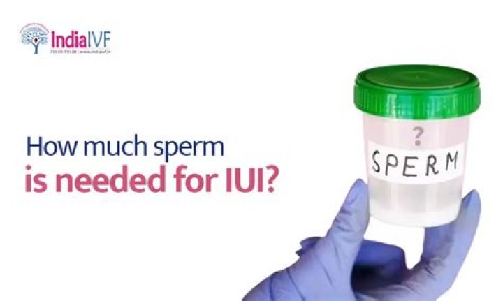 In iui how much sperm is needed?