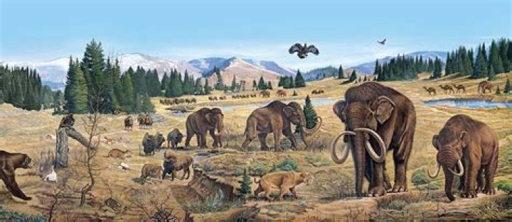 In the pleistocene epoch?