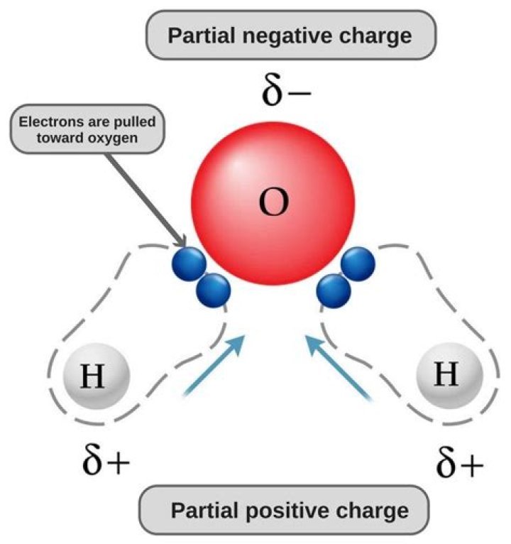 Is a water molecule positive or negative?