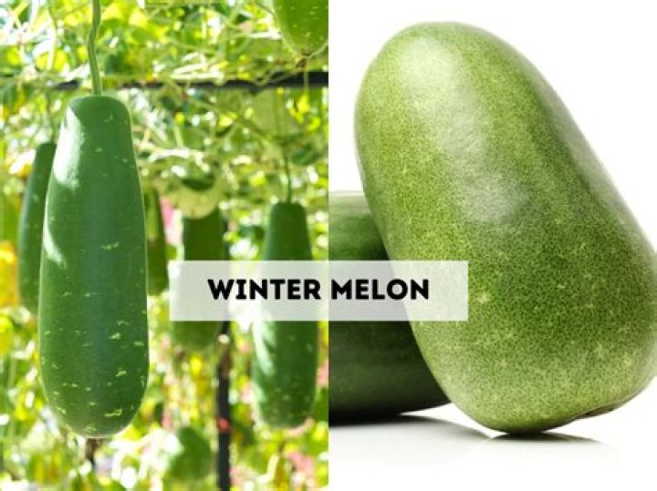 Is Ash gourd same as winter melon?