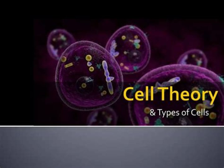 Is cell theory proven?