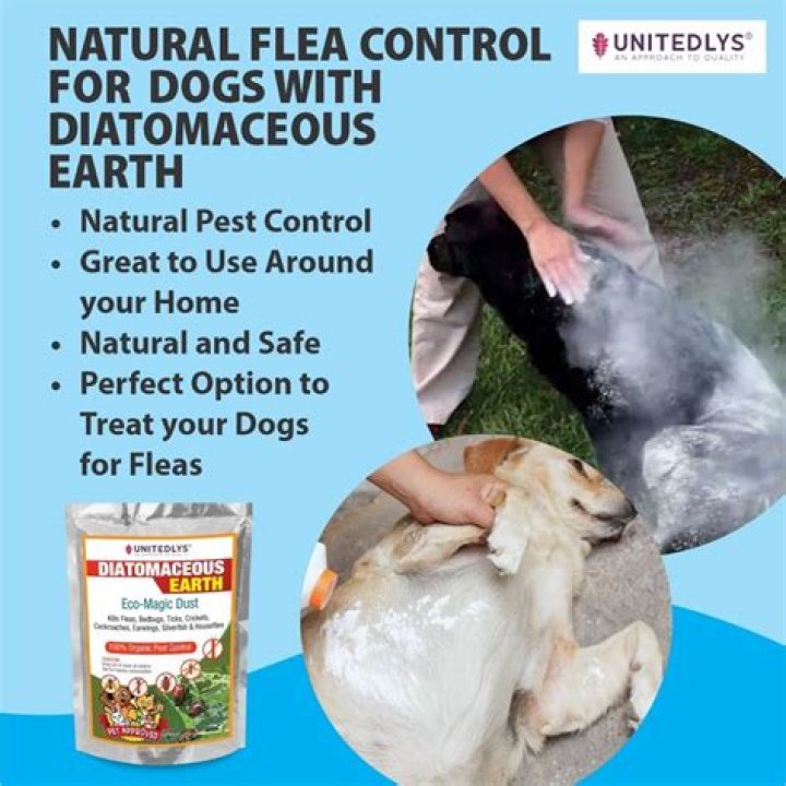 Is demetrius earth safe for pets?