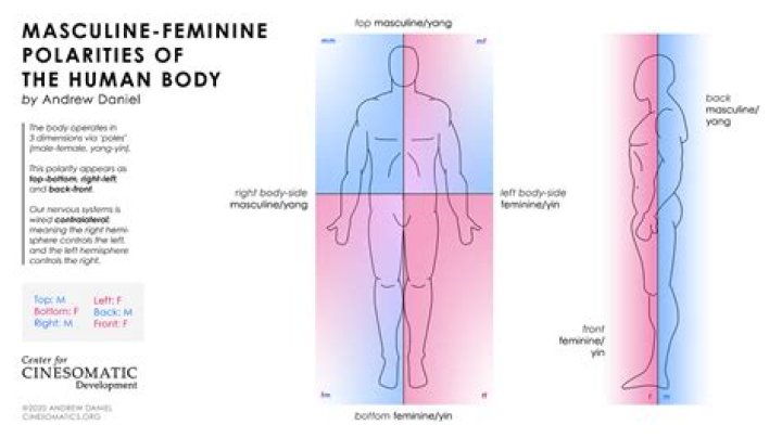 Is feuille masculine or feminine?
