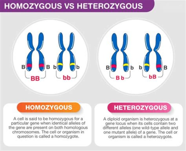 Is heterozygous dominant or recessive?