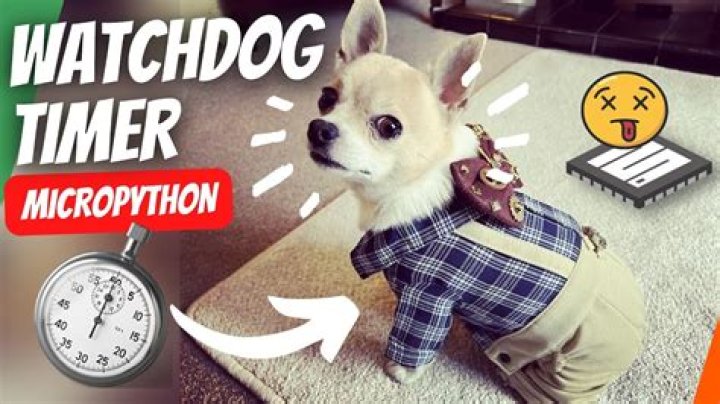 Is media a watchdog?