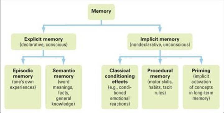Is procedural memory nondeclarative?