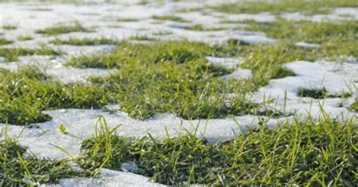 Is slice seeding effective?