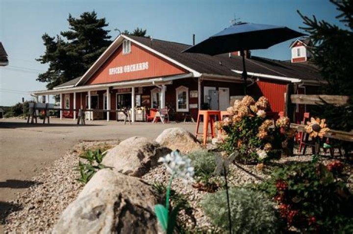 Is spicers orchard dog friendly?