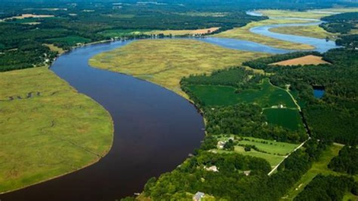 Is the mattaponi river freshwater?