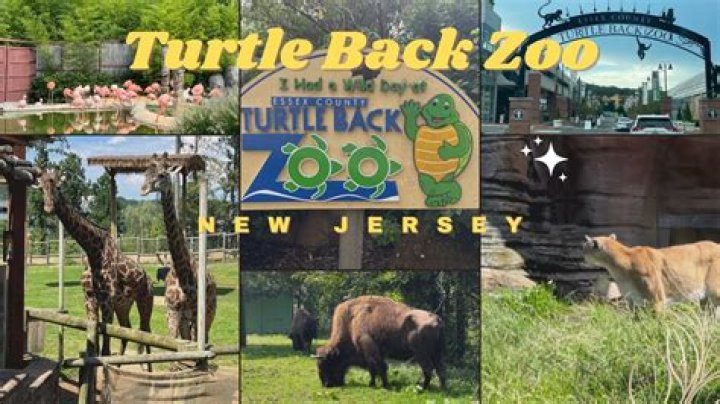 Is turtle back zoo open in the winter?