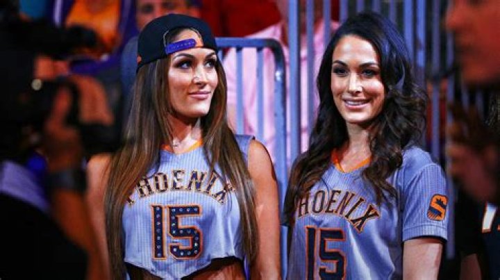 Love, Loss and Drama: 10 Bombshells From Nikki and Brie Bella’s Tell-All Book ‘Incomparable’ 
