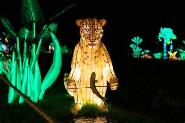 Nature's Six Most Beautiful Light Shows