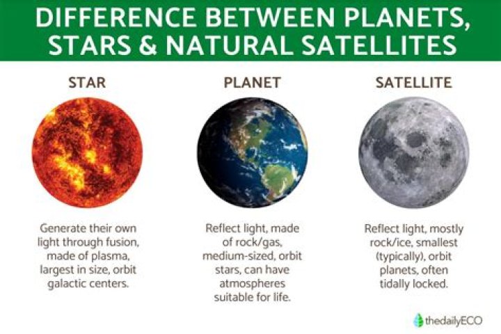 Quiz: Can You Tell the Difference Between Stars’ Real Hair and Their Wigs?