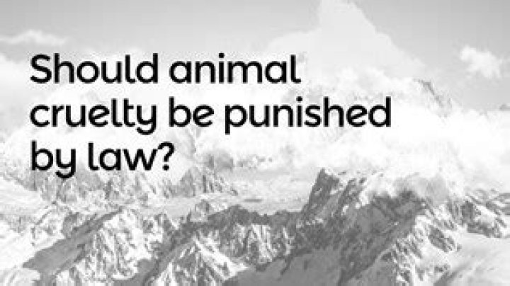 Should animal cruelty be punished?
