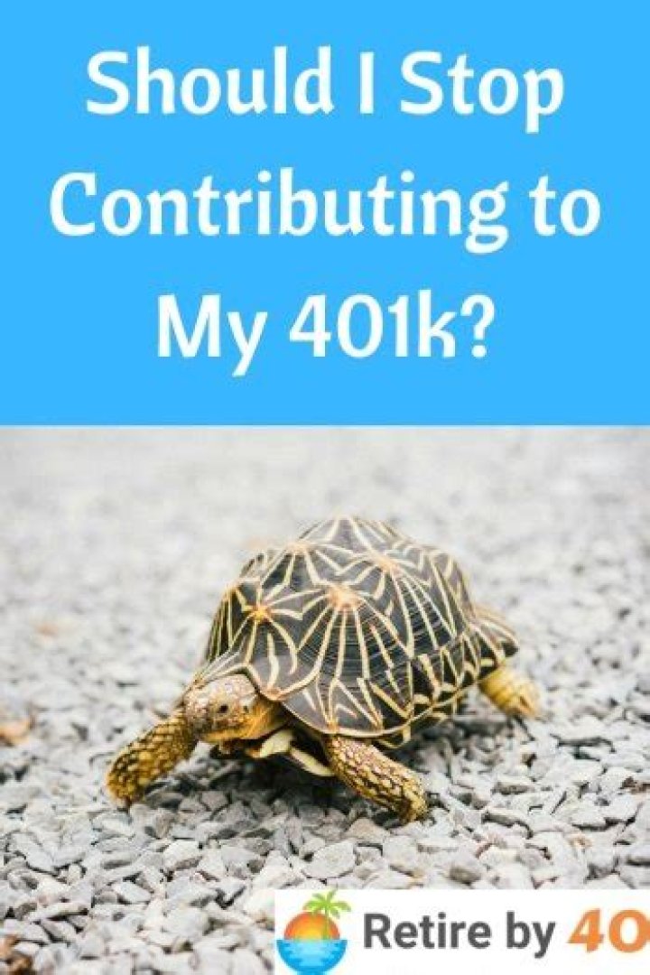 Should i temporarily stop contributing to my 401k?