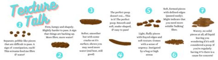 Should poop sink or float?