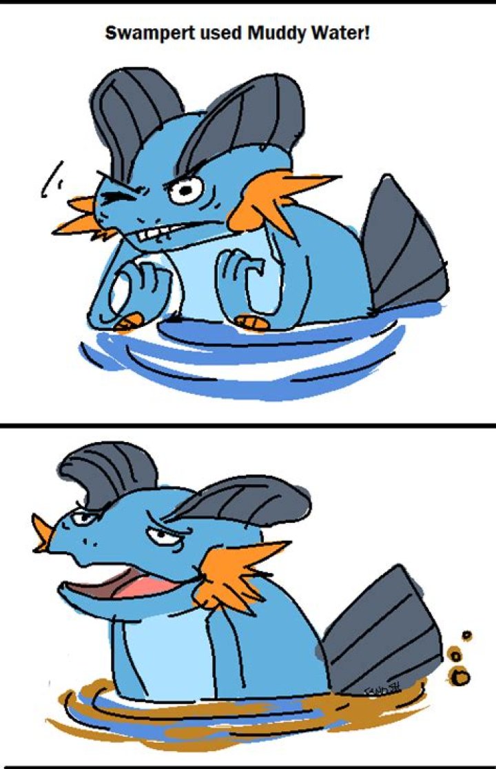 Should swampert learn muddy water?