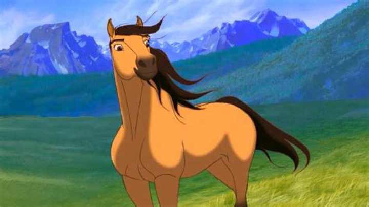 你可以用枪在Spirit上飞行吗？