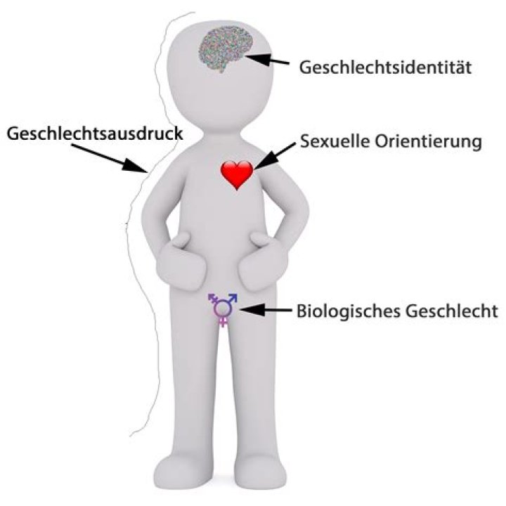 Was bedeutet trans menschen?