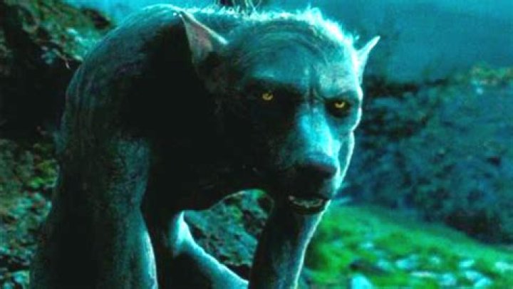 Was remus lupin a registered werewolf?