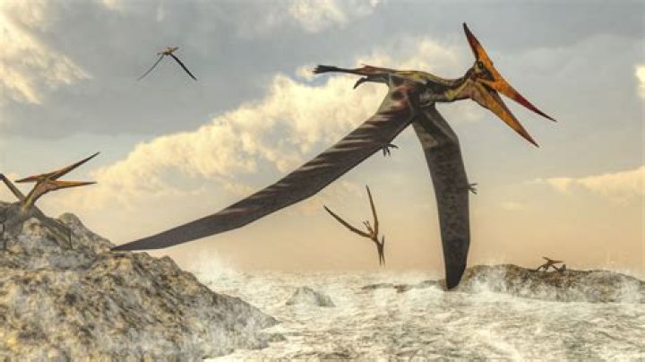 Was the pterodactyl a real dinosaur?