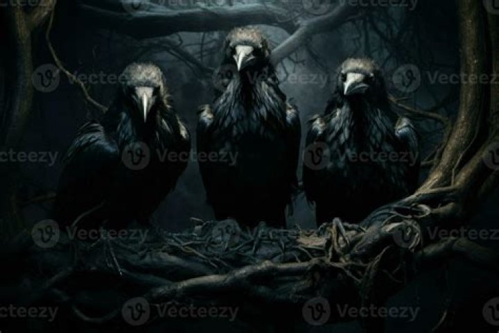 Were ravens really used as messengers?