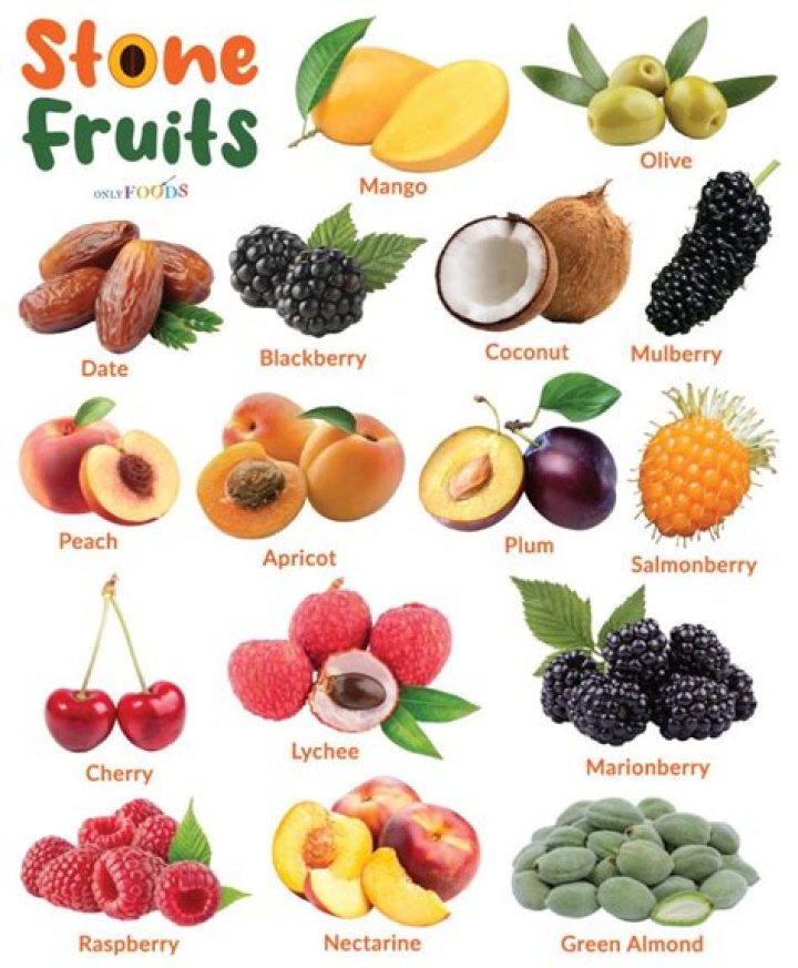 What are drupes also called stone fruits?