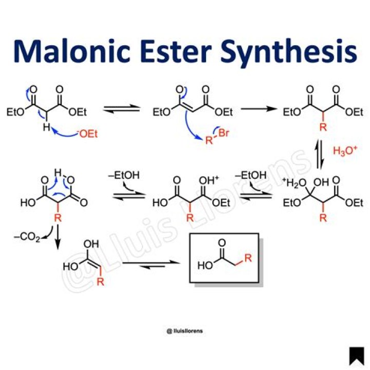 What are malonic ester used for?