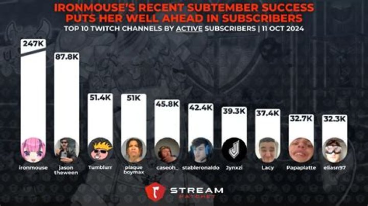 What are subscribers on twitch?