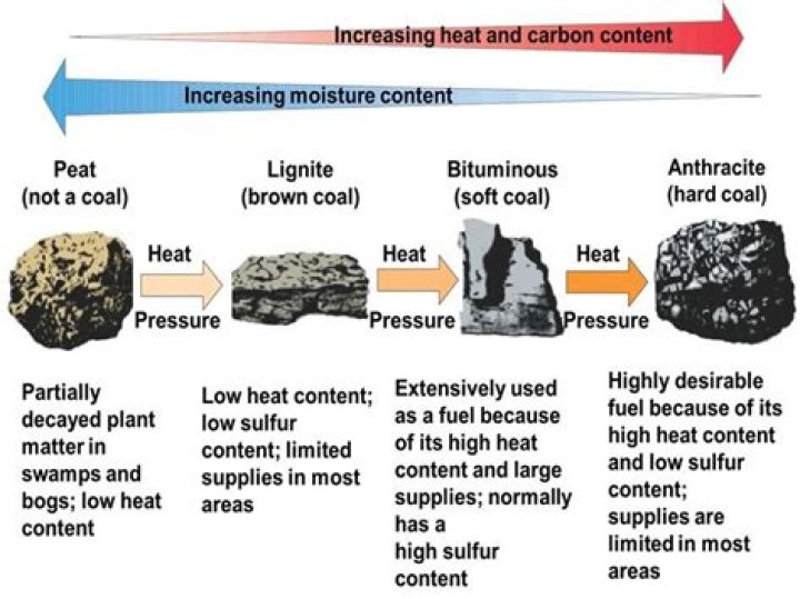 What are the 4 types of coal?