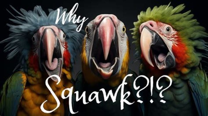 What bird says uh oh?