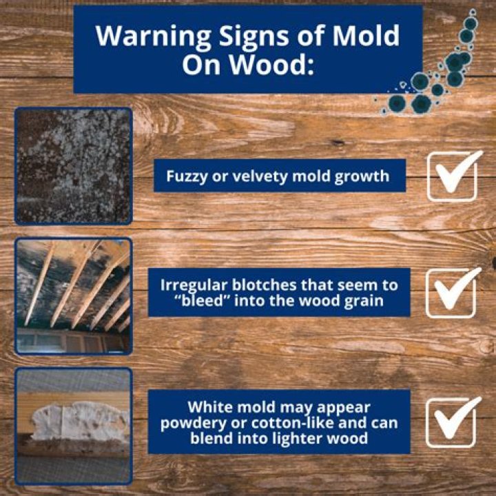 What can i spray on wet wood to prevent mold?