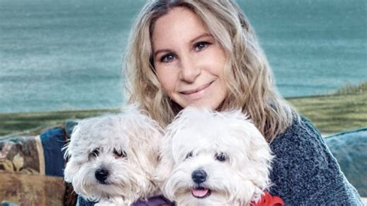 What celebrity cloned their dog?
