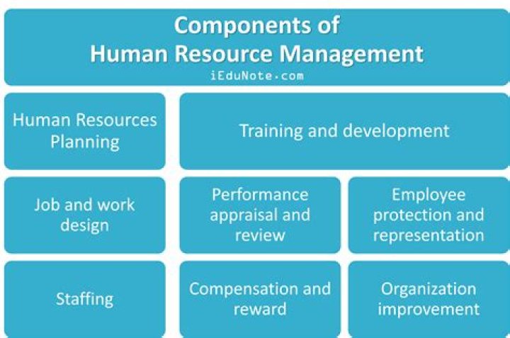 What clusters of competencies are necessary for success in human resource management?