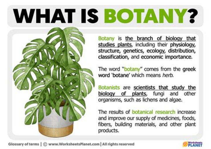 What do botanists do daily?