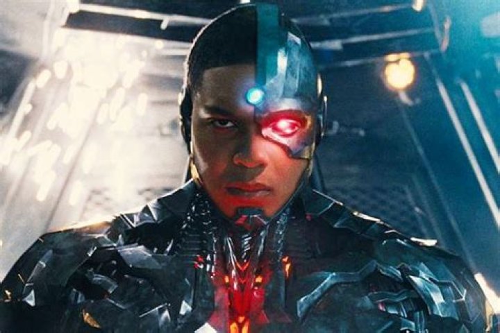 What does cyborg mean?