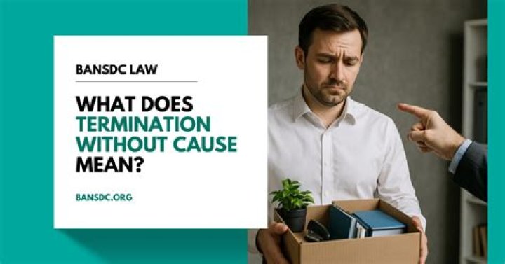 What does for cause termination mean?